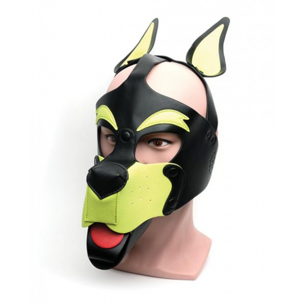 665 Playful Pup Hood - Black/Yellow