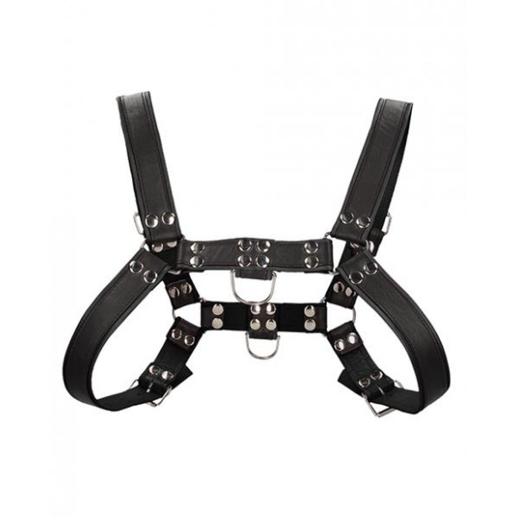 Shots Uomo Chest Bulldog Harness - Large/Xlarge - Black