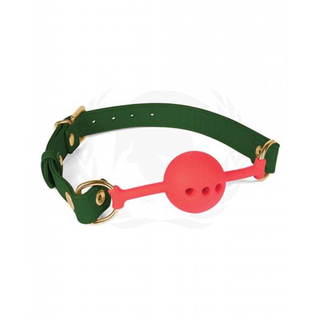 Spartacus Silicone Ball Gag with Green PU Straps