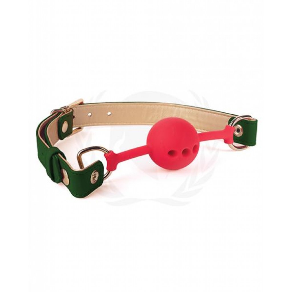 Spartacus Silicone Ball Gag with Green PU Straps