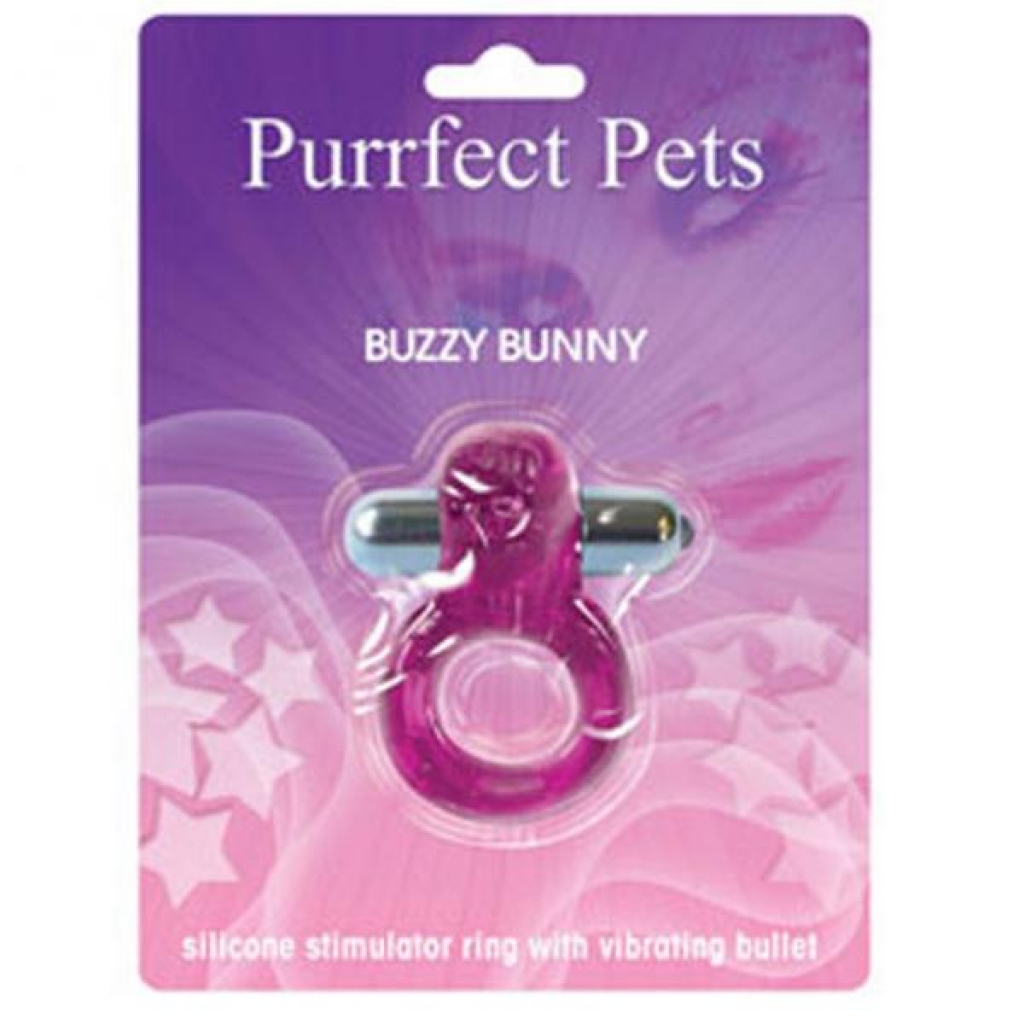 Purrrfect Pets (buzzy Bunny Purple) - Hott Products