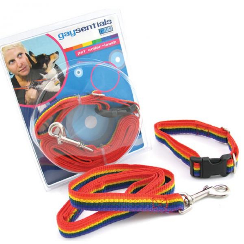 Gs Pet Combo Leash/collar (medium) - Phs International