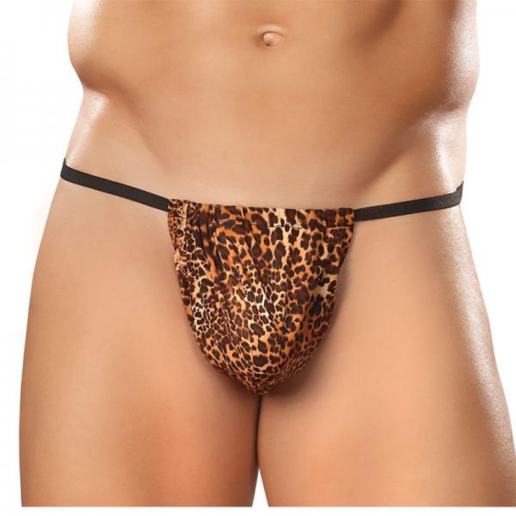 Male Power Animal Posing Strap - Brown Leopard - One Size