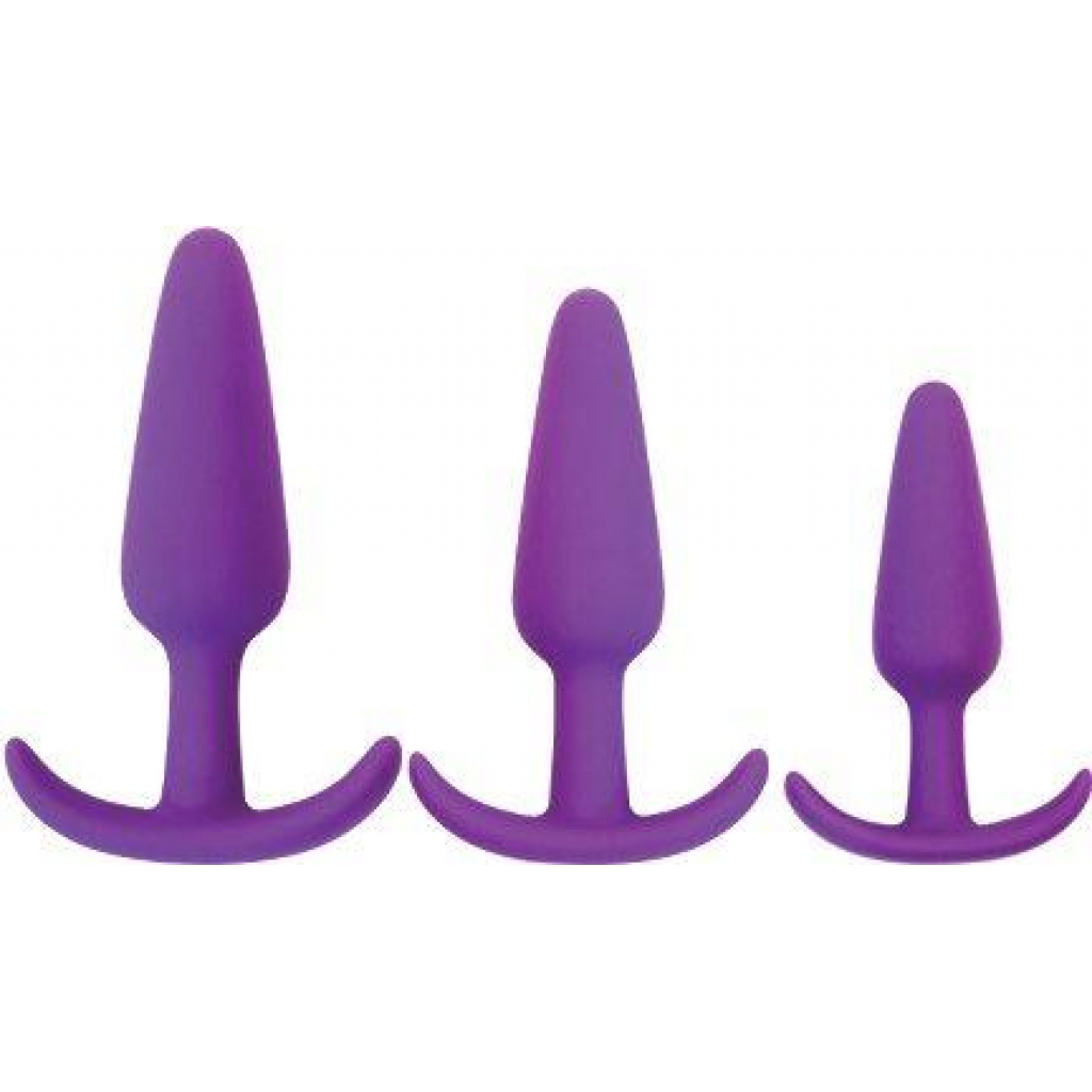 Rump Rockers 3 Piece Anal Plug Training Set Violet - Curve Novelties