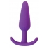 Rump Rockers 3 Piece Anal Plug Training Set Violet - Curve Novelties