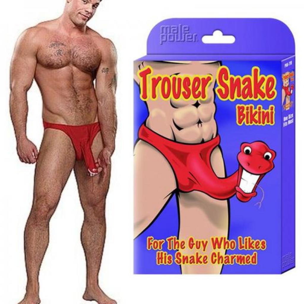 Trouser Snake Bikini Red - Male Power