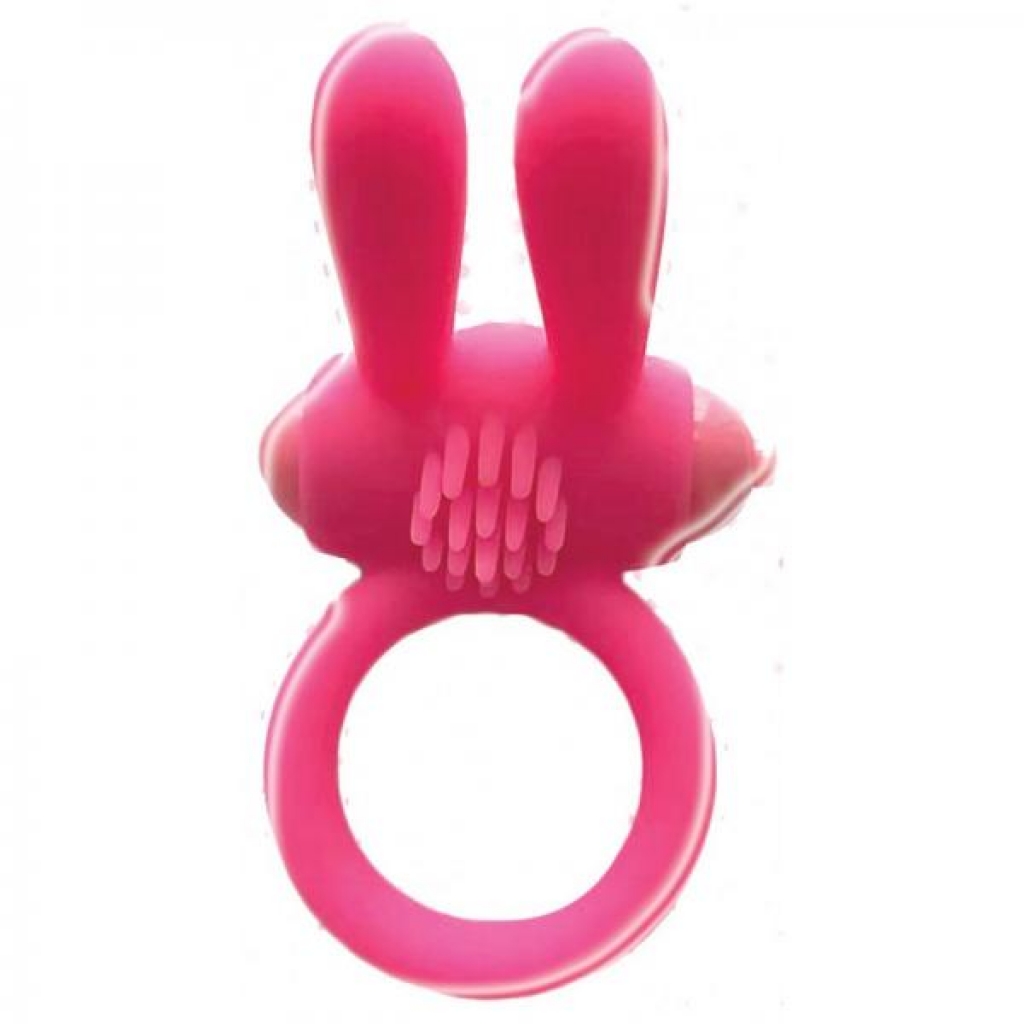 Wet Dreams Bunny Buster Cock Ring With Turbo Motor Pink - Hott Products