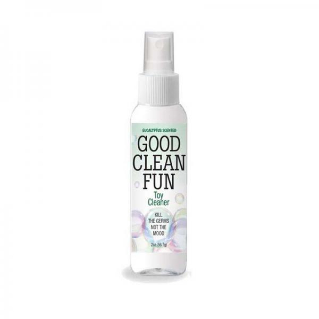 Good Clean Fun 2 Oz. Eucalyptus Toy Cleaner - Little Genie