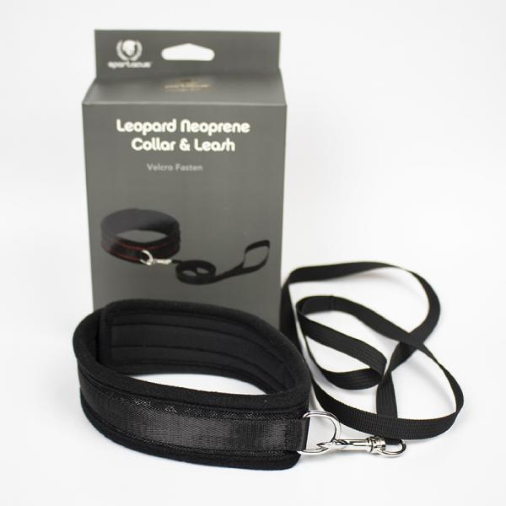 Spartacus Collar And Leash Neoprene Black - Spartacus