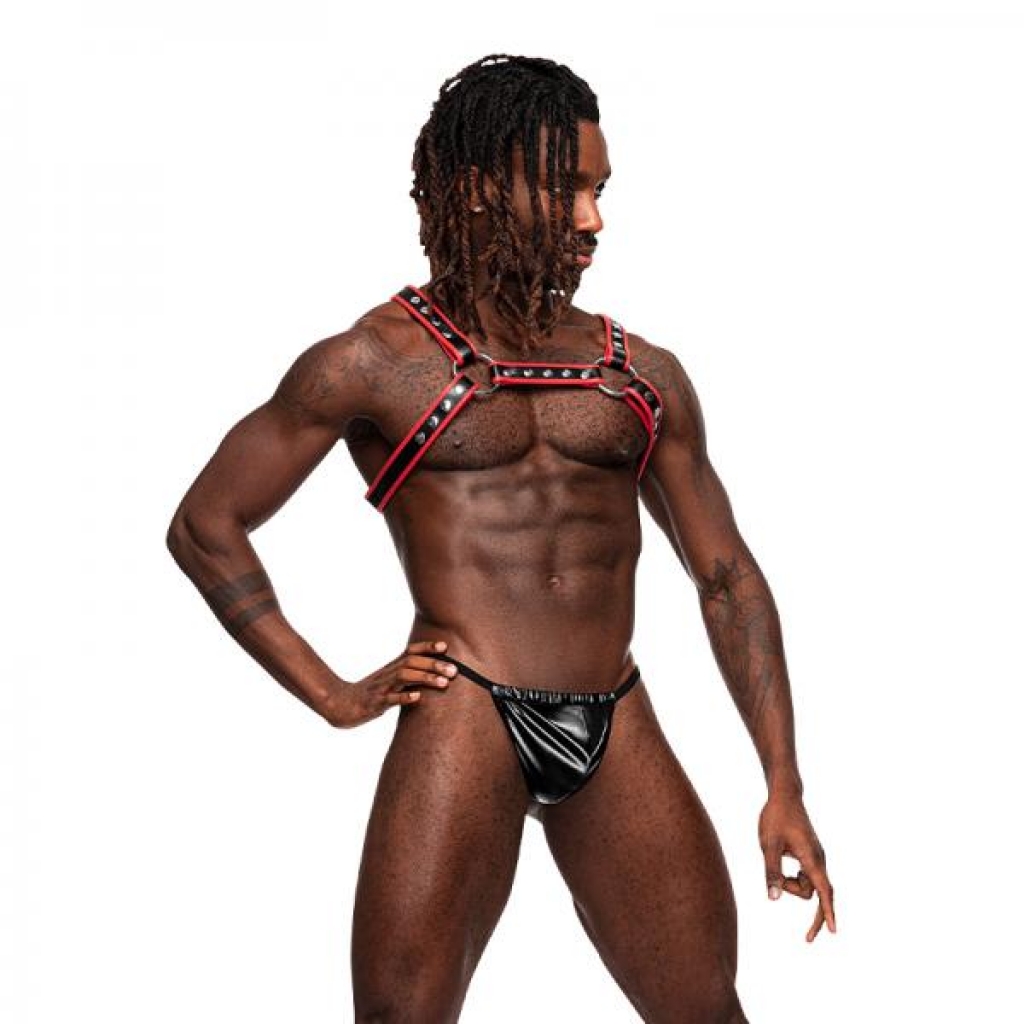 Male Power Man's Leather Leo Harness - Bold and Adjustable