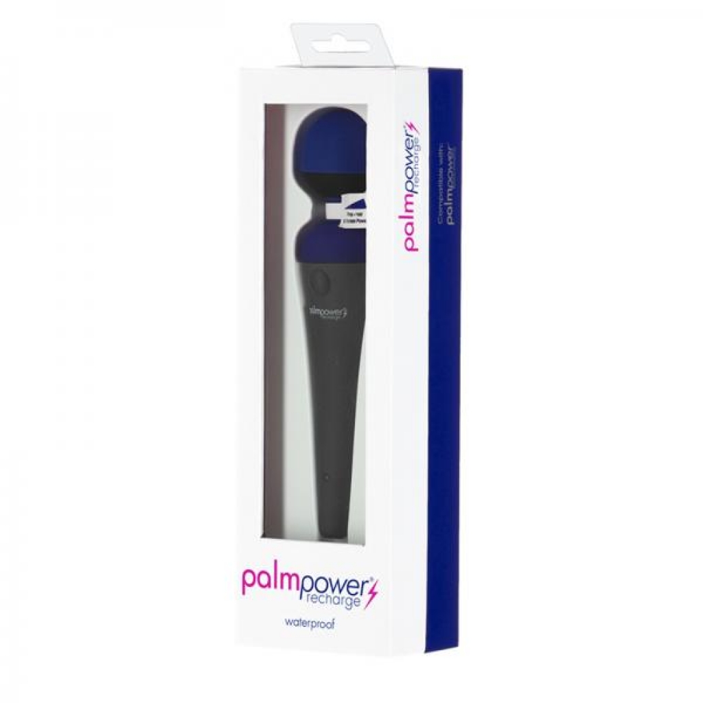 Palmpower Massager Usb Rechargeable Blue - Bms Enterprises