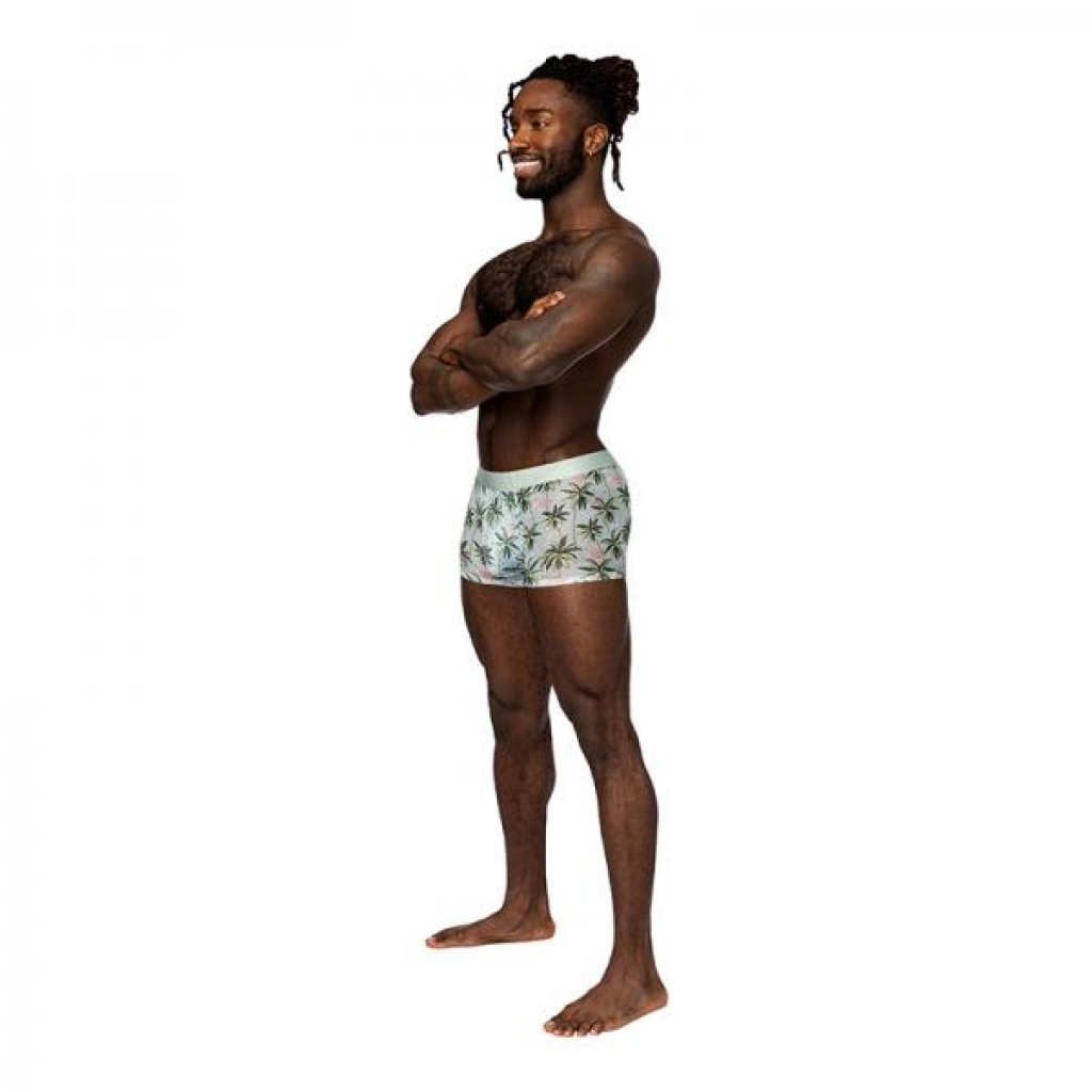 Male Power Flamingo Seamless Sheer Short - Small