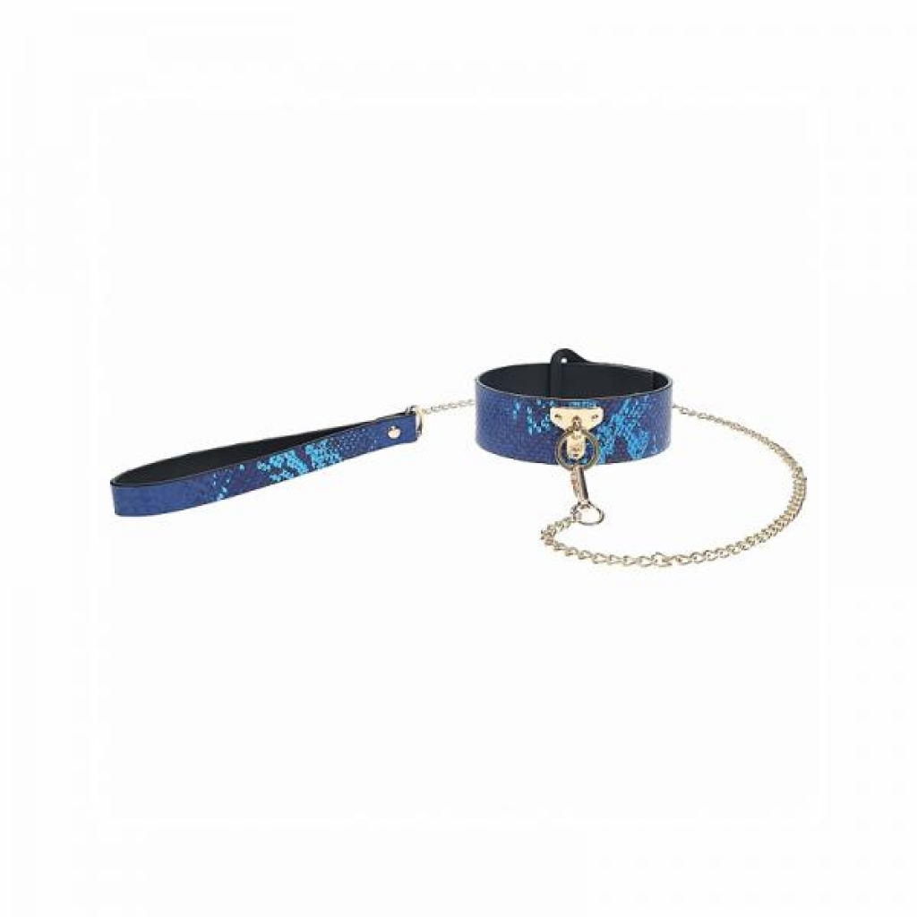 Ouch! Florence Collection Collar With Leash Blue - Shots America Llc