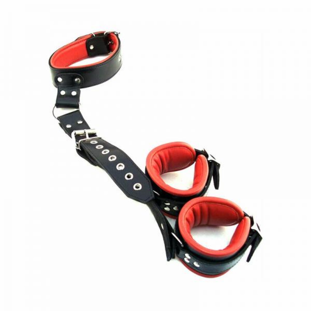 Rouge Leather Neck To Wrist Restraint Black/red - Rouge Group Ltd.