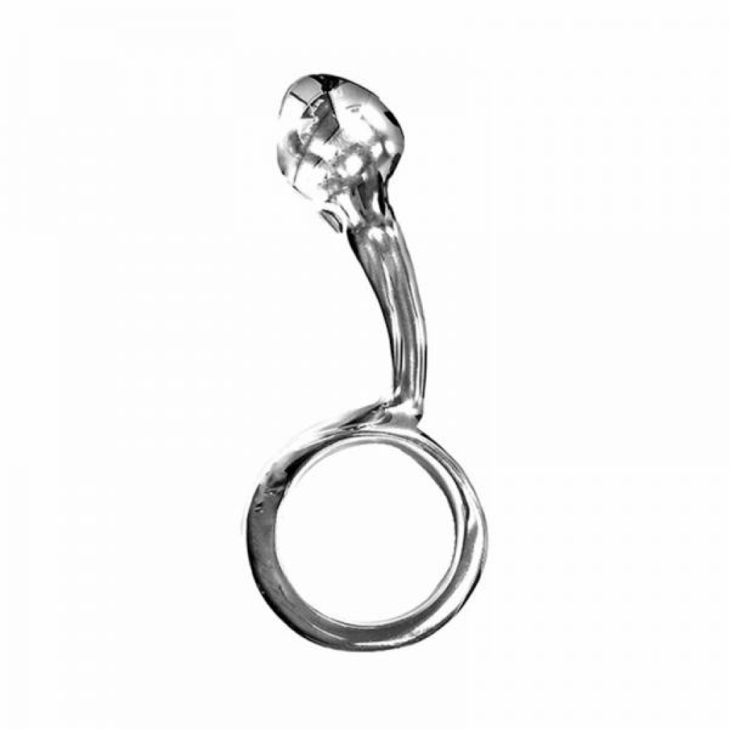 Rouge Stainless Steel Anal Passion Plug In Case - Rouge Group Ltd.