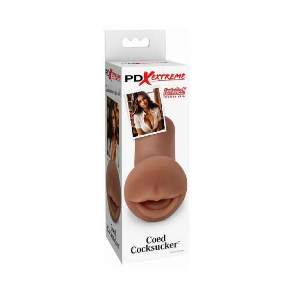 Pdx Extreme Coed Cocksucker - Brown