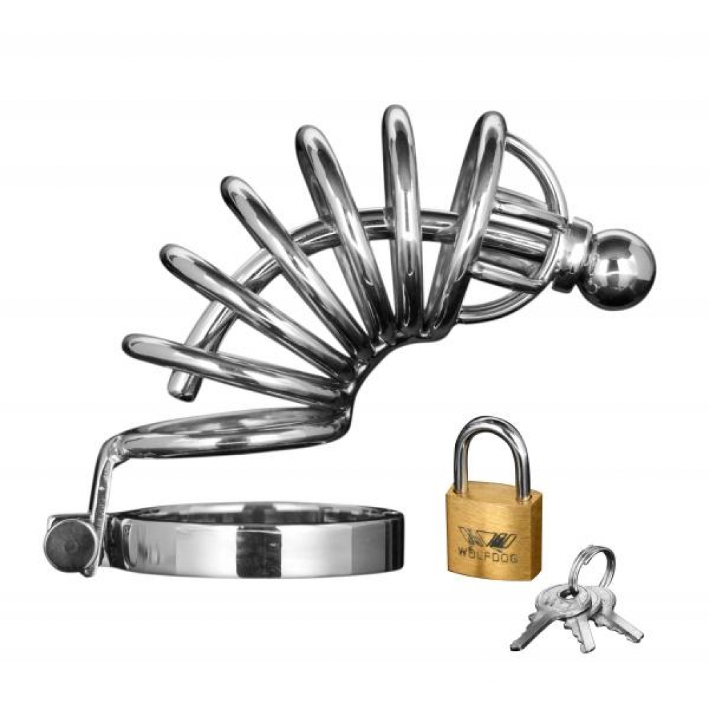 Asylum 6 Ring Locking Chastity Cage