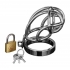 Captus Stainless Steel Locking Chastity Cage