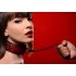 Crimson Tied Collar with Leash - Red/Black