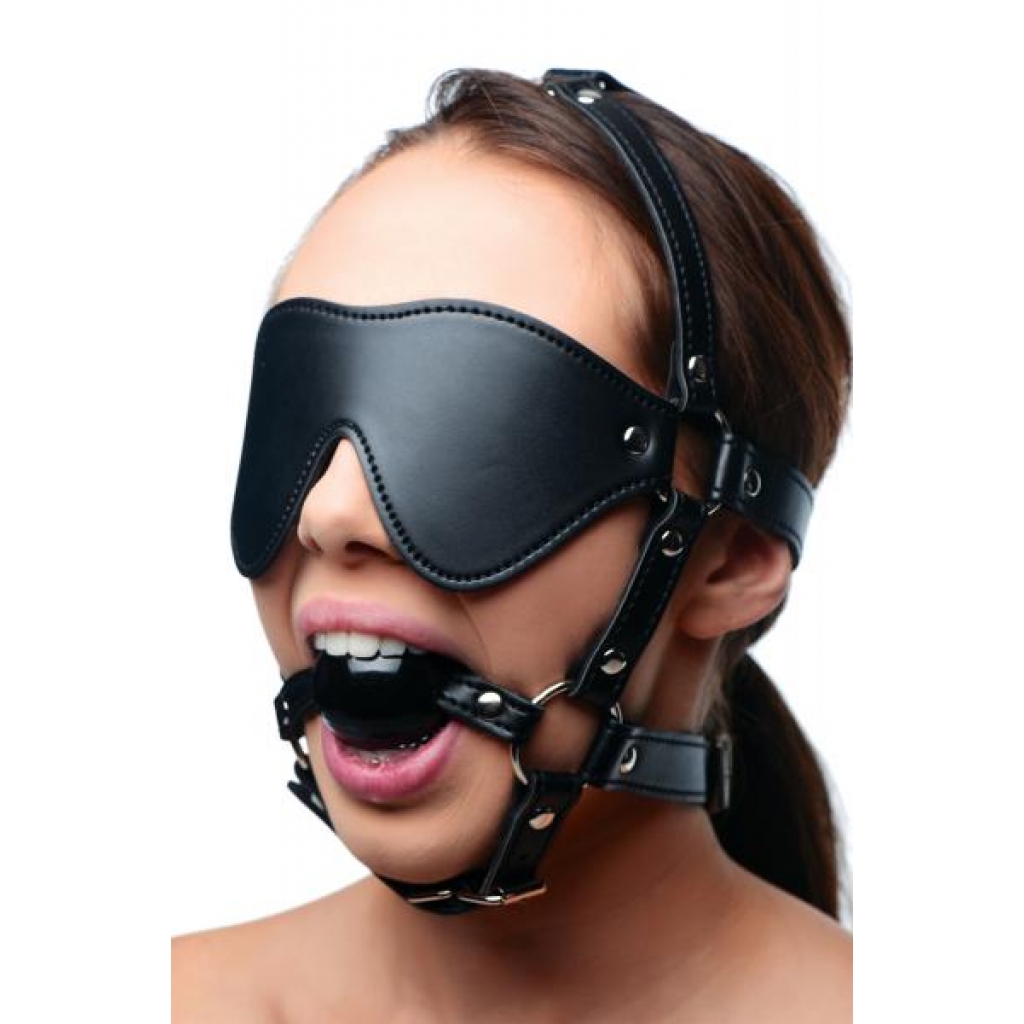 Strict Blindfold Harness Plus Ball Gag