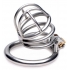 Deluxe Stainless Steel Locking Chastity Cage - The Pen