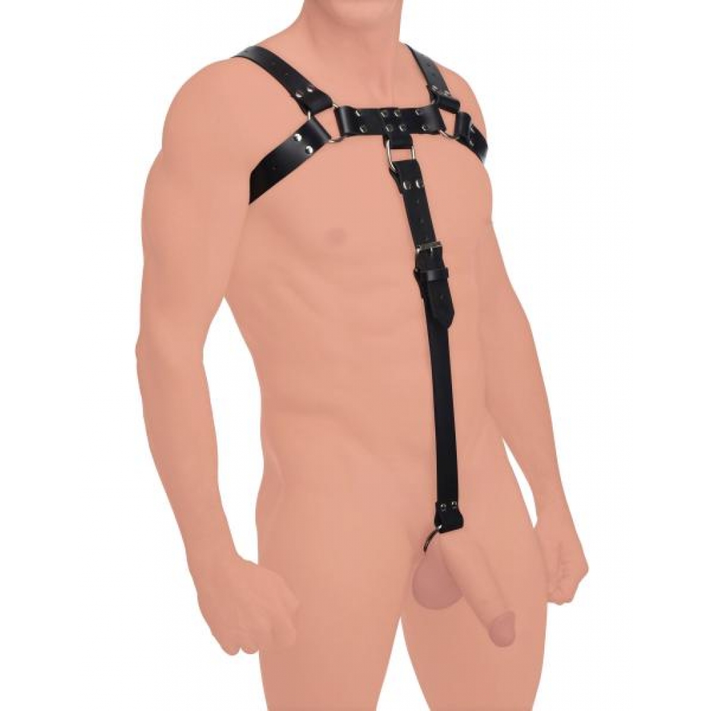 English Bull Dog Harness with Cock Strap - Black