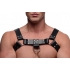 English Bull Dog Harness with Cock Strap - Black