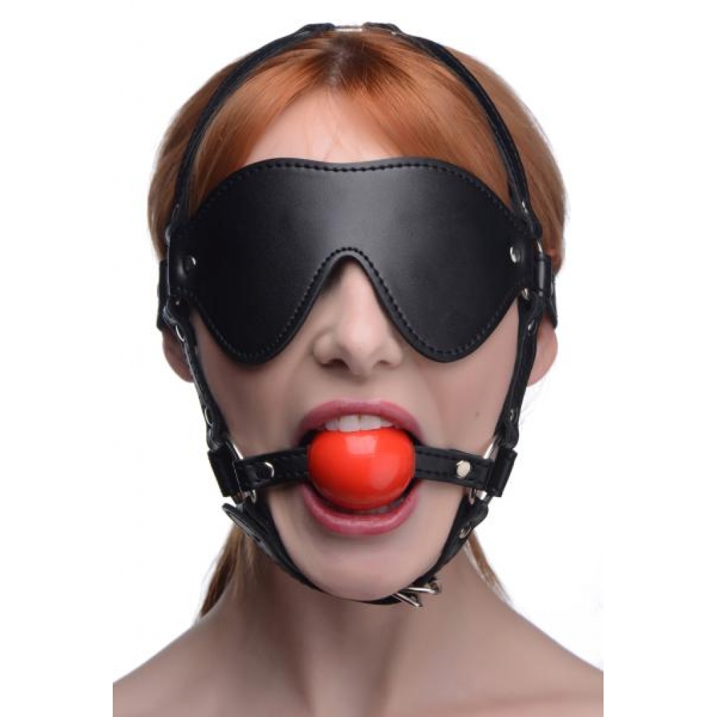 Blindfold Harness and Ball Gag Set