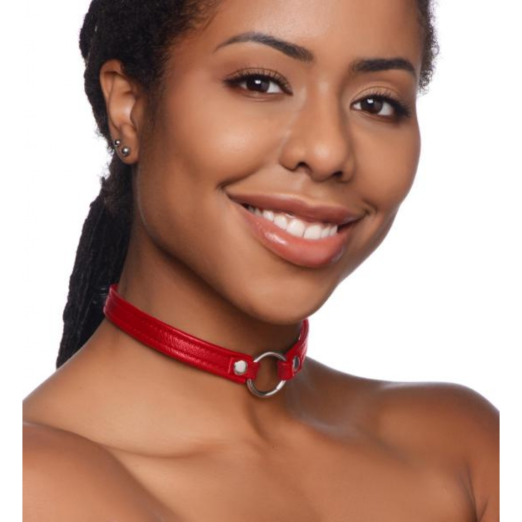 Fiery Pet Leather Choker with Silver Ring