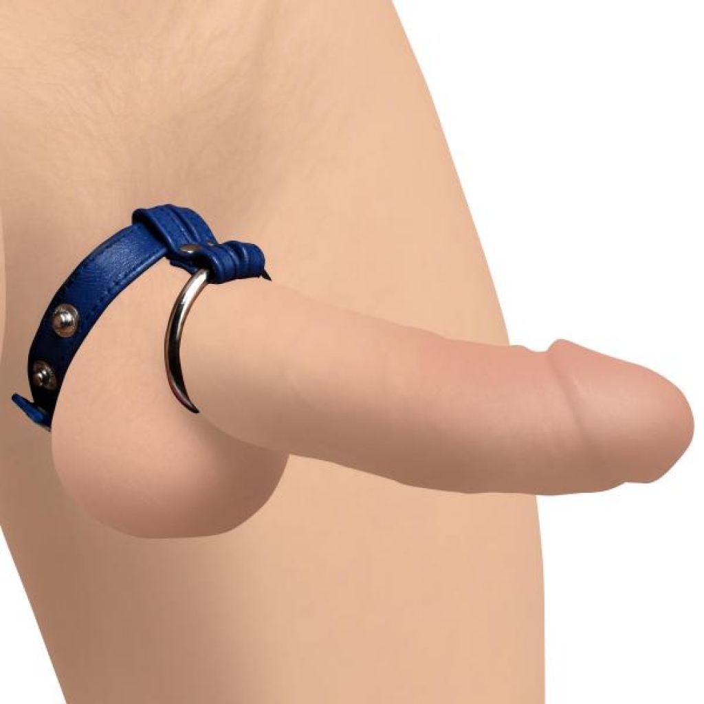 Leather and Steel Cock and Ball Ring - Adjustable Kink Accessory