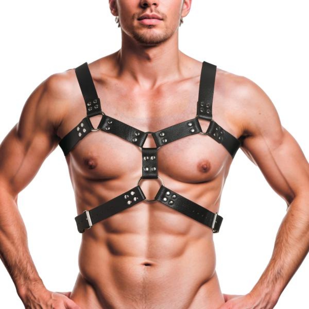 6 O-ring Chest Harness for Versatile Play