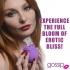 10x Rose Flirt Silicone Clitoral Stimulator - Luxurious Design