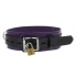 Strict Leather Deluxe Locking Collar - Purple Black