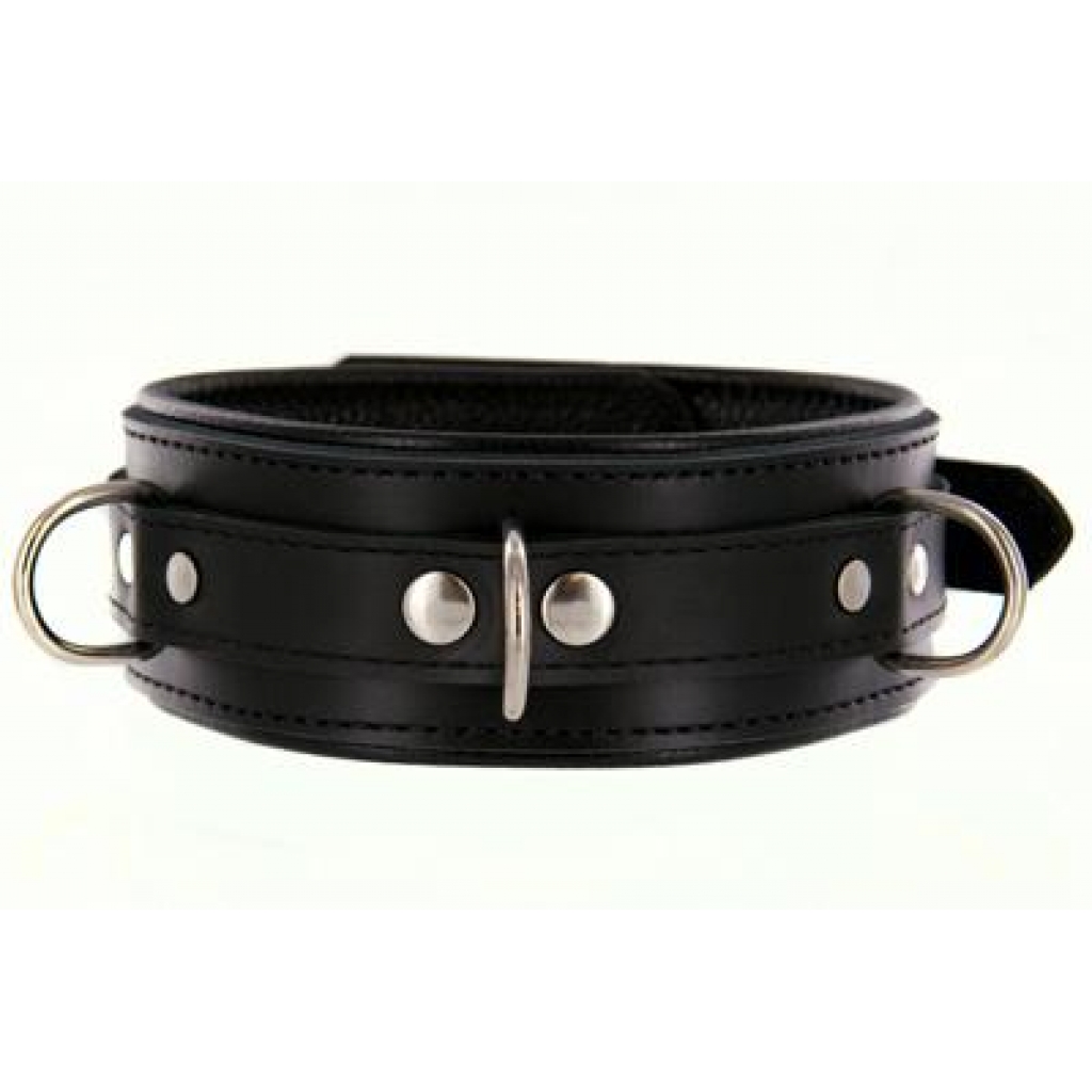 Strict Leather Premium Locking Collar - Durable and Secure