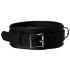 Strict Leather Premium Locking Collar - Durable and Secure