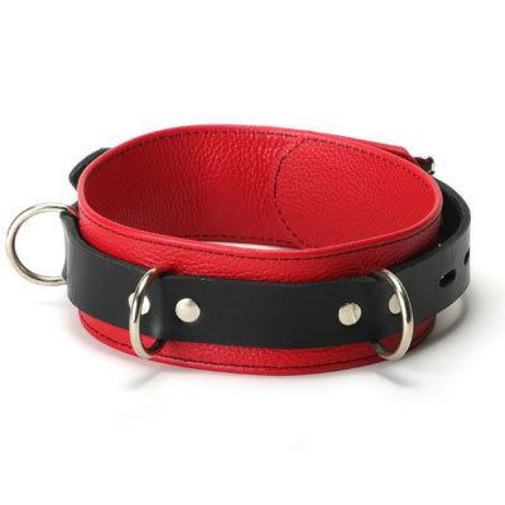 Deluxe Locking Collar in Red and Black