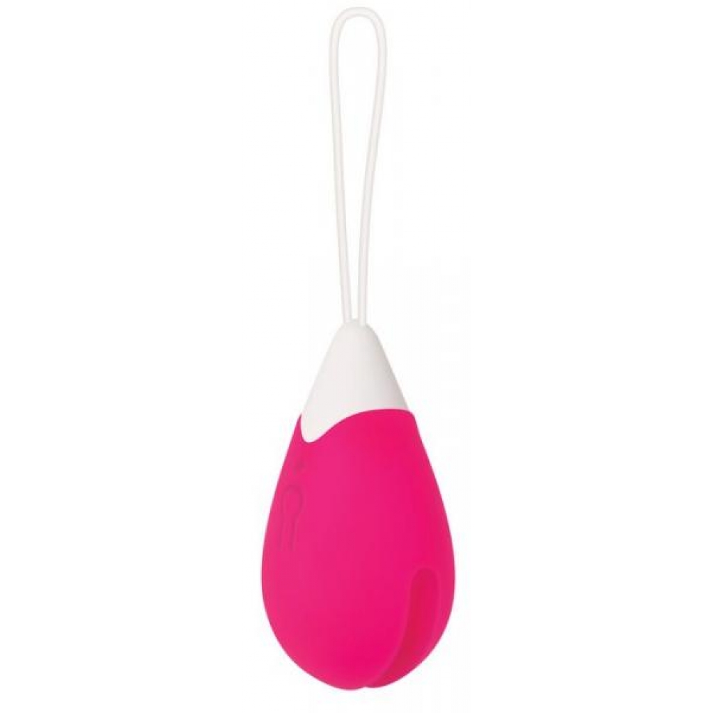 Rechargeable Egg Pink Vibrator - Remote Control