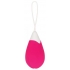 Rechargeable Egg Pink Vibrator - Remote Control