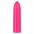 Turbo Buzz Classic Bullet Pink – Discreet Delights Await