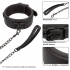 Nocturnal Collection Adjustable Collar & Leash - Elegant Control