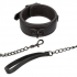 Nocturnal Collection Adjustable Collar & Leash - Elegant Control