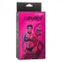 Euphoria Chain Halter Collar & Leash - California Exotic Novelties