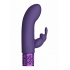 Royal Gems Dazzling Purple Rechargeable Bullet Vibrator